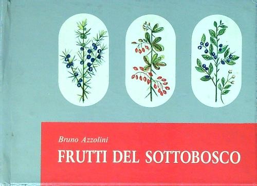 Frutti del sottobosco azzolini - frutti,