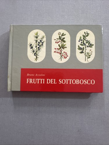 Azzolini frutti del - azzolini, sottobosco