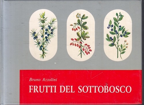 Frutti del sottobosco bruno - sottobosco,