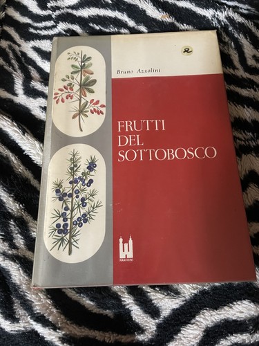 Manfrini bruno azzolini - ed,